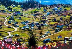 Doğu Karadeniz kırsalı yaşlandı; kültür aktarımı tehlikede