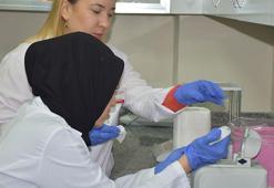 Patatesin 'parmak izi' çıkartılarak genetik tabanı oluşturuluyor