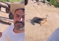 Öldürdüğü köpeği at arabası arkasında sürükletip, görüntüleyen şüpheli gözaltında