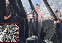 Karadeniz’de hamsi göçtü; ağlar erken toplandı