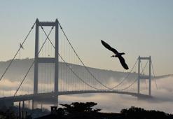İstanbul Boğazı'nda gemi trafiği askıya alındı; bazı vapur seferleri iptal oldu