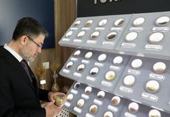 Türkiye'nin genetik materyali, 'Gen Bankası'nda korunuyor