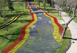 İstanbul'da lale şöleni