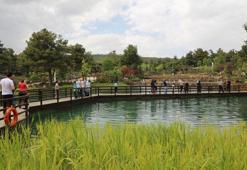 Milli parklarda bayram tatili tedbiri