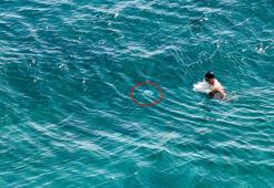 Antalya sahillerinde 'denizanası' tedirginliği