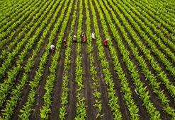 "Yapay zekayla herkes tarım yapabilecek"
