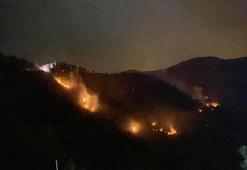 Karadeniz'de kuraklık etkisi; orman yangınlarında artış tehlikesi