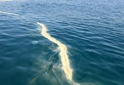 Antalya açıklarında denizanası ve sarı birikinti incelemesi