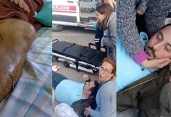 Beylikdüzü'nde pitbull saldırısı