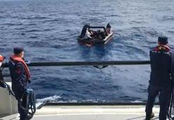 Bodrum'da 72 kaçak göçmen yakalandı