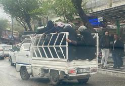 Kamyonet kasasında tehlikeli yolculuk kamerada