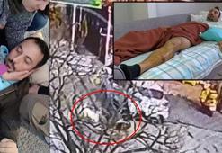 Beylikdüzü’ndeki pitbull saldırısının güvenlik kamerası görüntüleri ortaya çıktı