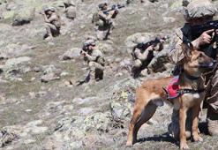 Kırsalda Mehmetçik'in yakın dostu, teröristlerin korkulu rüyası 'Yıkı'