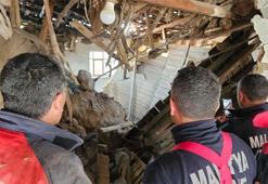Malatya'da 2 katlı ahşap ev çöktü; alt kattaki 6 büyükbaş kurtarıldı