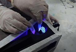 Liseliler, balık kılçığından sudaki cıva iyonlarını tespit eden kit geliştirdi