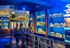 Müze değil, 'deniz ürünleri mezarlığı'