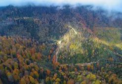 Karadeniz’de orman tahribi heyelanları artırıyor