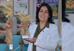 Tarım sektörü 'Parla' ile parlayacak