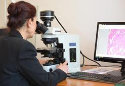 'Pasif içicilik, kedi ve köpekler için kanser nedeni'