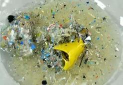 'Mikroplastik, kısırlığa ve otizme neden olabilir'