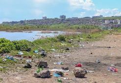 Piknikçi atıkları Dicle Nehri çevresini çöplüğe çevirdi; su kuşları kirlilikten çok etkileniyor
