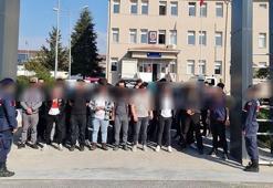 Kırklareli'de köpek dövüştüren 34 kişiye 214 bin lira ceza