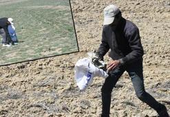 DHA'nın haberinin ardından, Sivas'taki araziye yayılan çöpler temizleniyor
