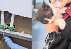 Bahçelievler'de hastanenin havalandırma boşluğuna düşen yavru kedi kurtarıldı