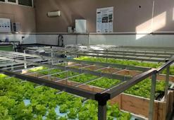 5 kıtadan bilim insanlarıyla 'Akuaponik' yöntemiyle yetiştiriciliği yaygınlaştırmak için çalışıyorlar