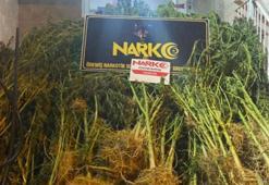 İzmir'de otogarda uyuşturucu operasyonu; 'Layka' ile aramada 1 kilo kokain bulundu