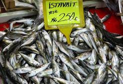 Av yasağı başladı, balık fiyatları arttı