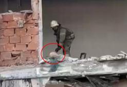 Gayrettepe'deki "1.Şube" binasının yıkımı sırasında içeri giren kedi kurtarıldı