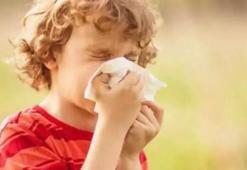 "Alerjik çocuklar, polenlerin yoğun olduğu saatlerde dışarıya çıkmamalı"