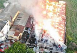 Depodaki yangında 160 ton kozalak küle döndü