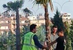 Parktaki ağacı yakmaya kalkıştı