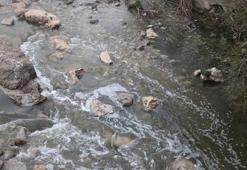 Arıtma tesisi planlanan sürede tamamlanamayınca Gerede Çayı’ndaki kirlilik bitmedi