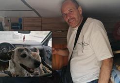 Silivri'de köpeğin karavanda mahsur bırakıldığı iddiası; Köpeğin sahibi konuştu
