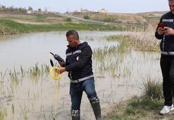 Üreme göçü öncesi inci kefaline sıkı denetim