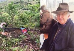 Korhan Berzeg’i arama çalışmaları 316’ncı günde; çalılar tırmıklarla aranıyor