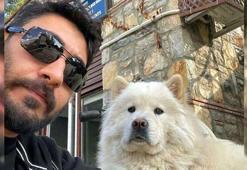 Fethiye'de köpeğiyle doğa yürüyüşüne çıkıp geri dönmedi; cansız bedeni bulundu