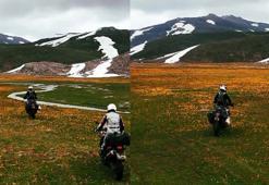 Endemik çiçekleri motosikletle ezdiler