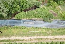 Fabrikanın kanala bıraktığı atıklar nedeniyle oluşan 'kötü koku' sorunu, yıllardır çözülemiyor