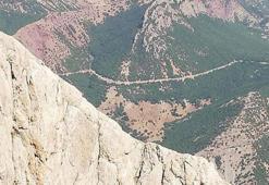 Hayvanlarını otlatırken ayının saldırısına uğradı