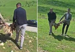 Ateşli silahla vurulan akbaba öldü, profesörden 'Onlar sağlık polisi avlamayın' uyarısı geldi