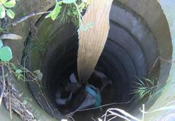 Büyükçekmece'de kurbanlık dana açık bırakılan yağmur suyu drenaj kuyusuna düştü