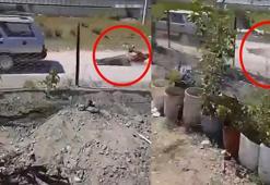 Köpek yüzünden tartıştığı kişiyi iple otomobilin arkasına bağlayıp sürükledi