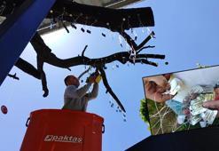 Kırşehirli 1310 şehidin künyesi, ‘Şehitler Ağacı’na asıldı