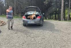 Samsun’da uyuşturucu operasyonu; 11 tutuklama