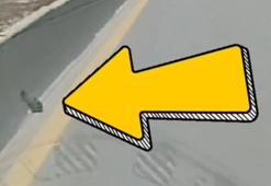 Ezilmekten kurtardığı kediye gördüğü yer olan 'Refüj' adını verdi