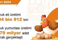 TÜİK: Tavuk eti, yumurta ve içme sütü üretimi arttı
